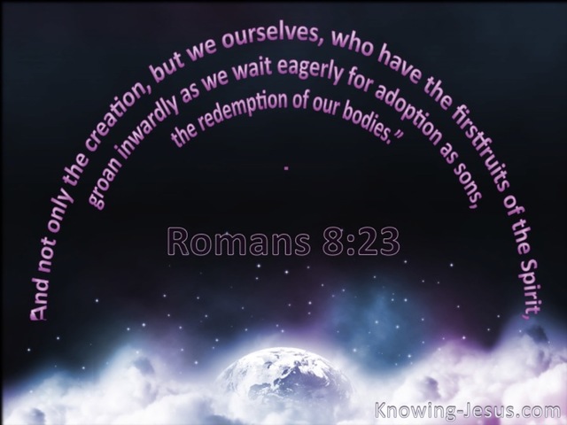 Romans 8:23 All Creation Is Subject To Futility (black)